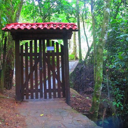 Bangalo Na Acqua Jungle Lodge Abraão Eksteriør billede
