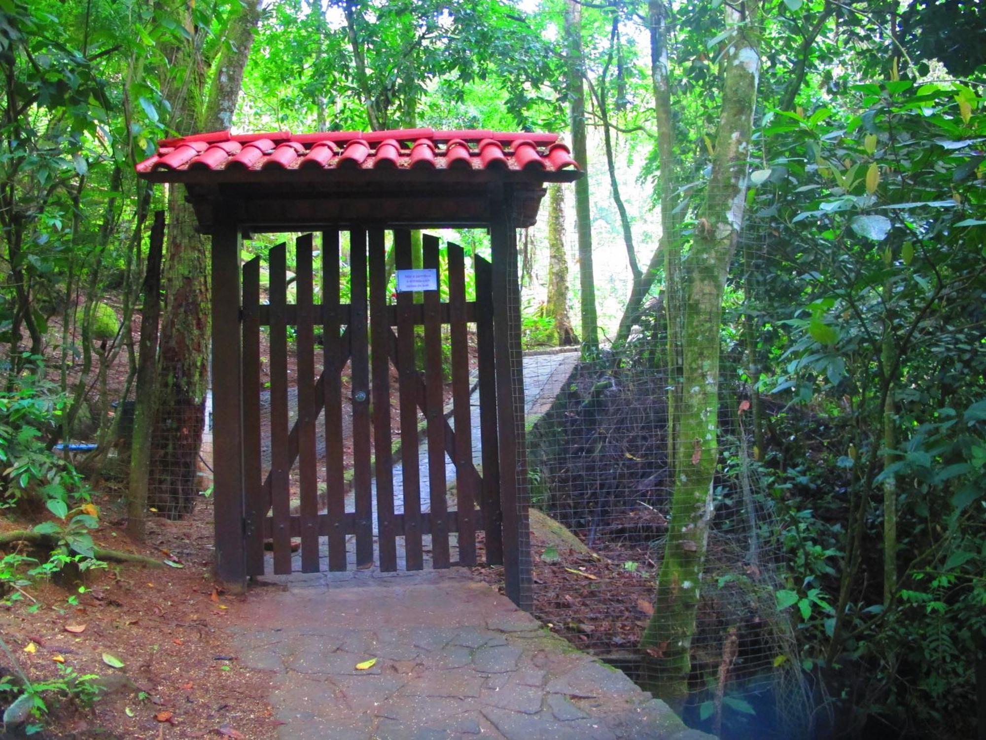 Bangalo Na Acqua Jungle Lodge Abraão Eksteriør billede